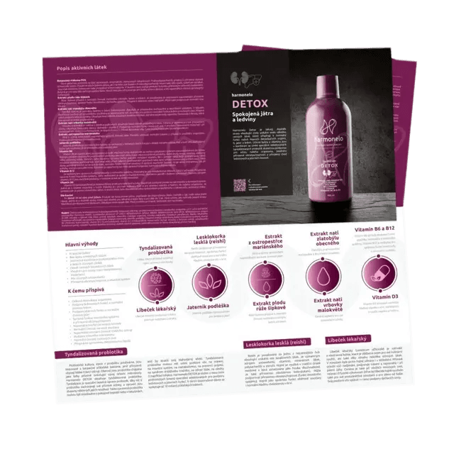 LEAFLET_10_DETOX_DE