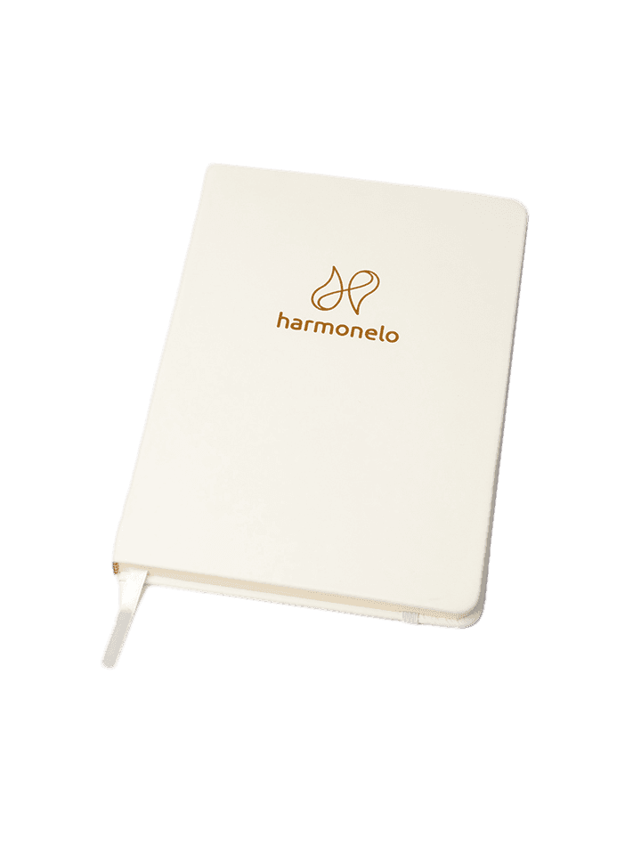NOTEBOOK_CLASSIC
